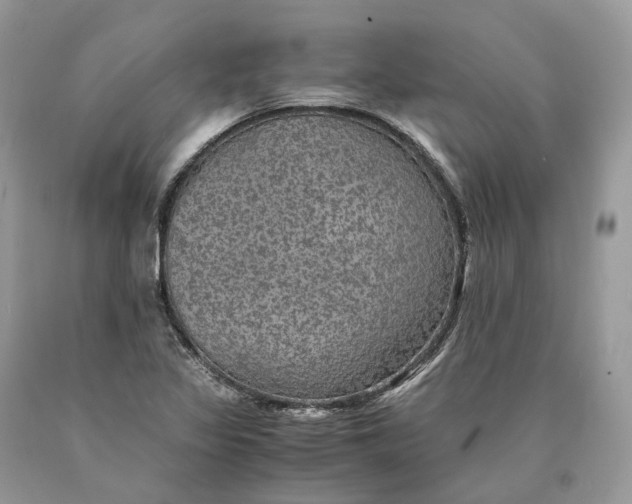 X0000089921317200707201809