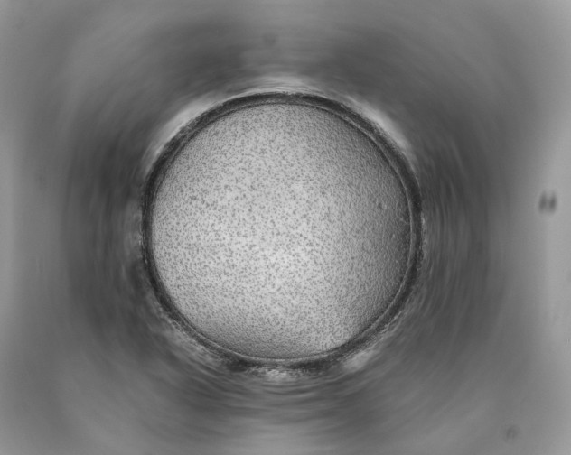 X0000089921318200707201809