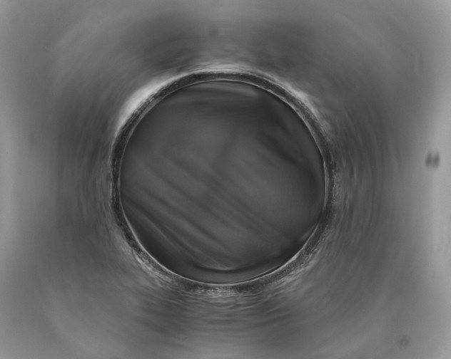 X0000089921319200707201809