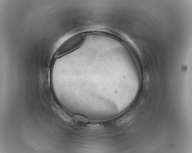 X0000089921320200707201809