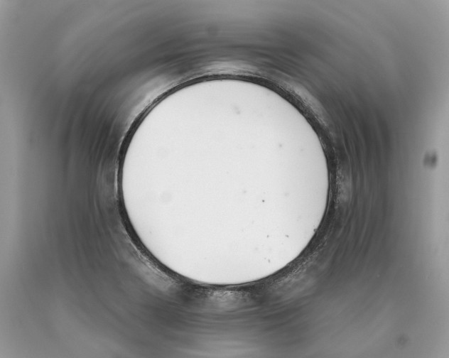 X0000089921322200707201809