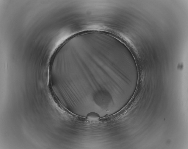 X0000089921323200707201809