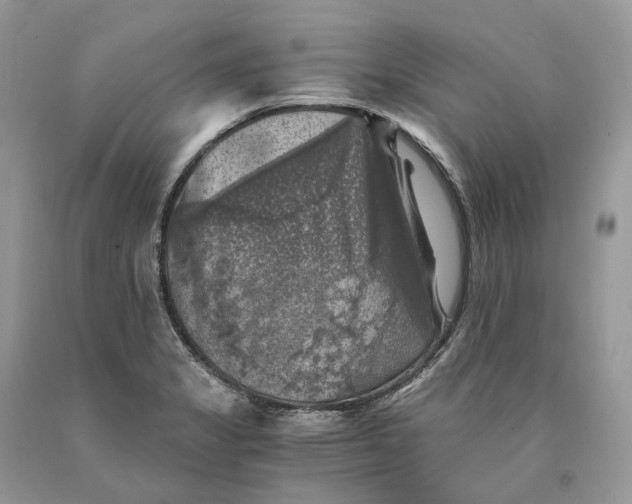 X0000089921325200707201809