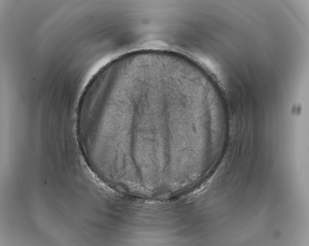 X0000089921326200707201809