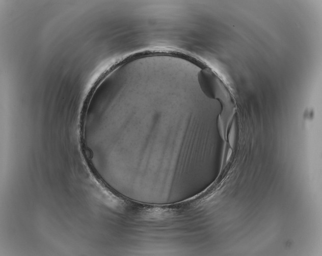 X0000089921327200707201809