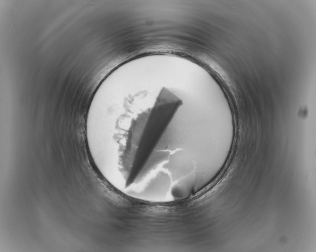 X0000089921329200707201809