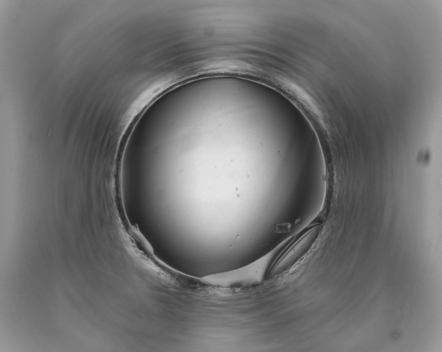 X0000089921330200707201809