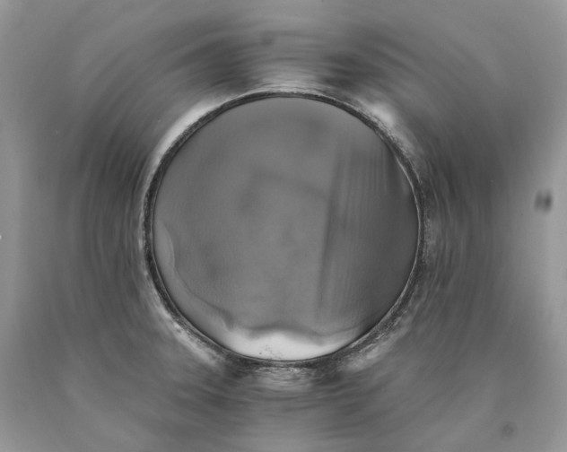 X0000089921331200707201809