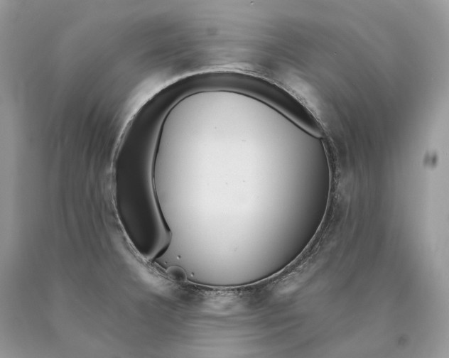 X0000089921332200707201809