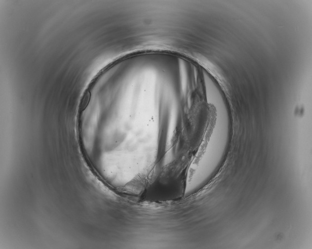 X0000089921334200707201809