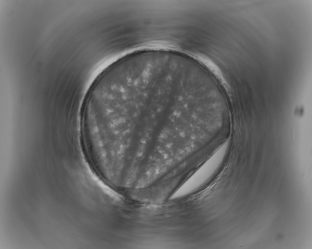X0000089921335200707201809