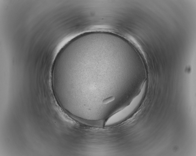 X0000089921336200707201809