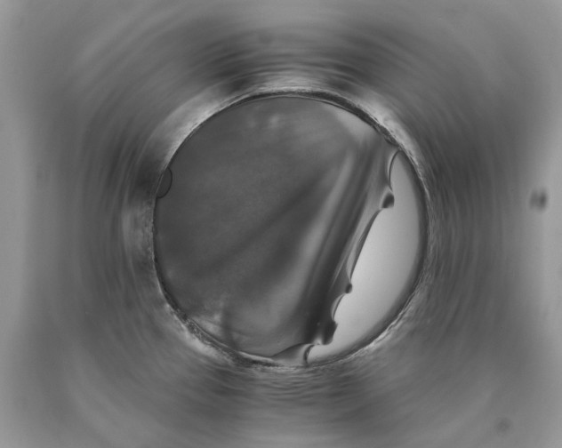 X0000089921337200707201809