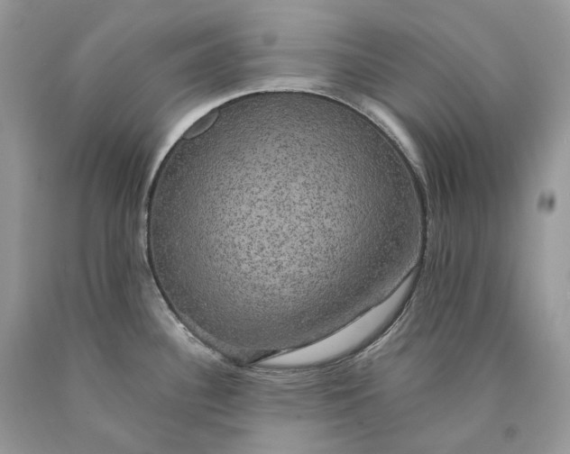 X0000089921340200707201810