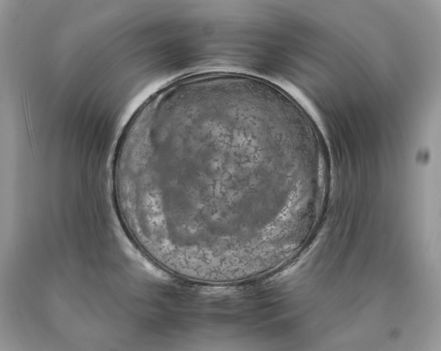 X0000089921341200707201810