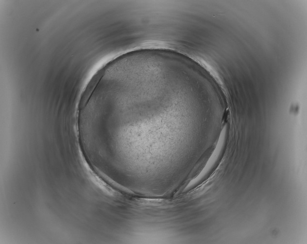 X0000089921342200707201810