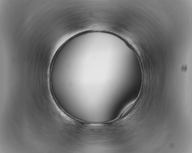 X0000089921343200707201810
