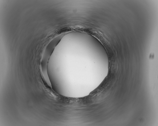 X0000089921345200707201809