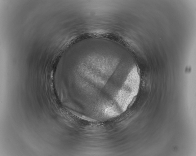 X0000089921346200707201809