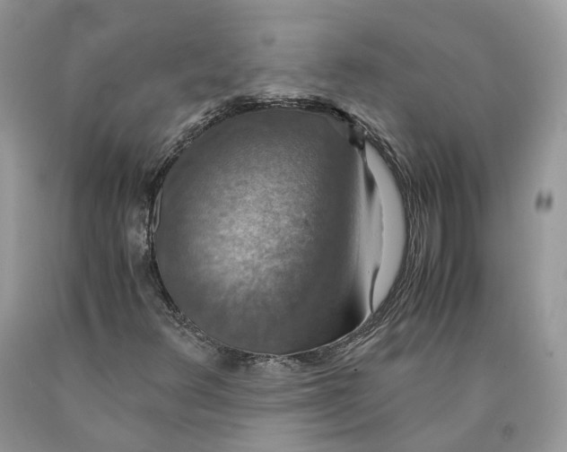 X0000089921348200707201809