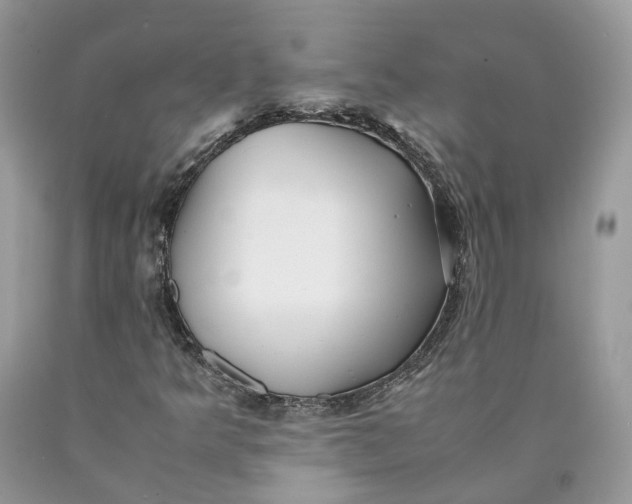 X0000089921349200707201809
