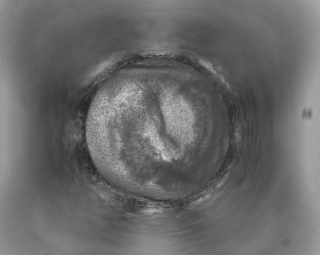 X0000089921350200707201809