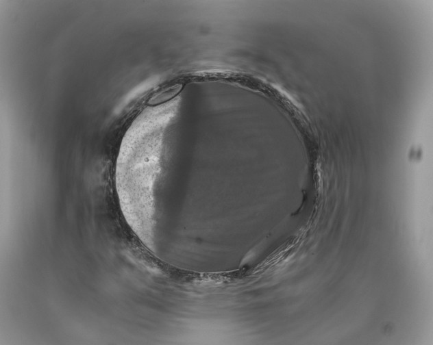 X0000089921351200707201809