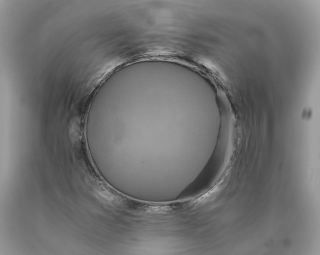X0000089921353200707201809