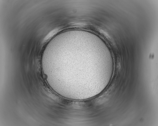 X0000089921354200707201809