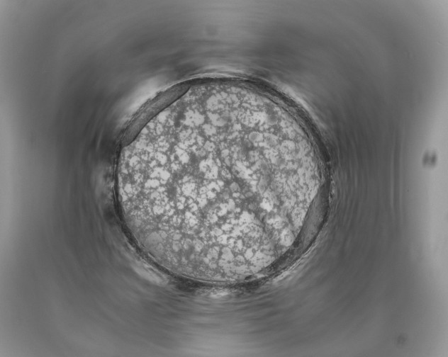 X0000089921355200707201809