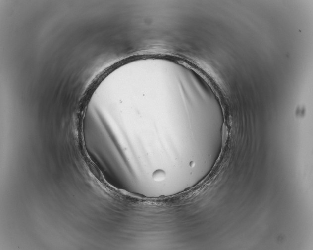 X0000089921356200707201809
