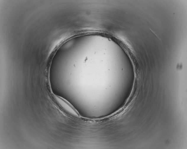X0000089921357200707201809