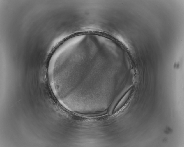 X0000089921358200707201809