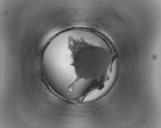 X0000089921359200707201809
