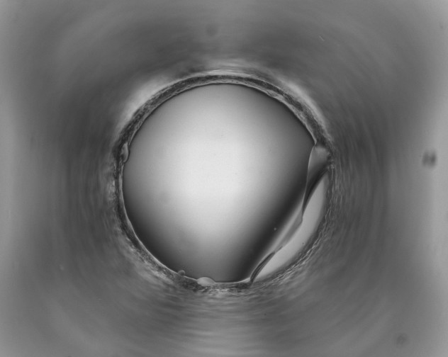 X0000089921360200707201809