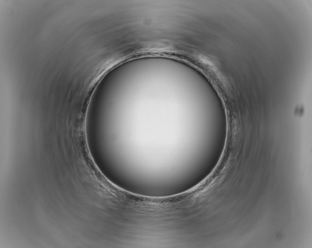 X0000089921361200707201809