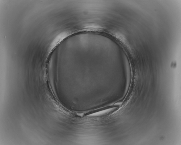 X0000089921362200707201809