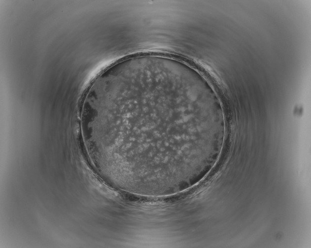 X0000089921363200707201808