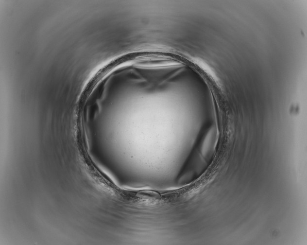 X0000089921364200707201808