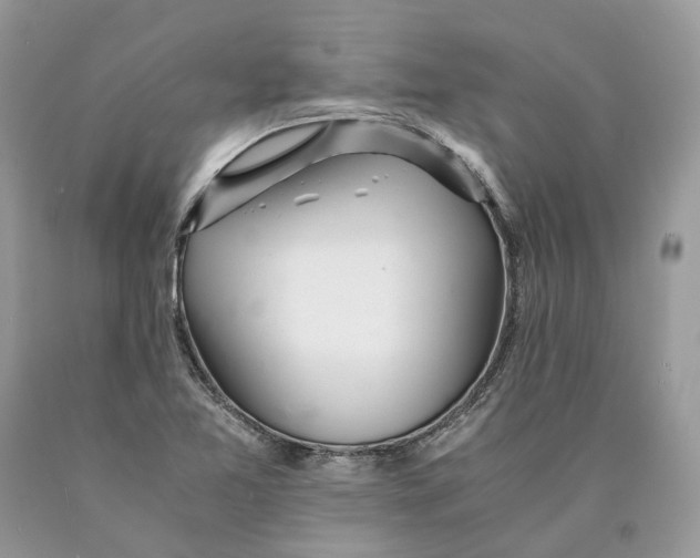 X0000089921365200707201808