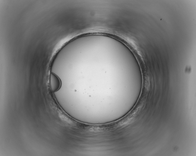 X0000089921366200707201808