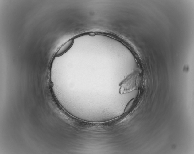 X0000089921367200707201808