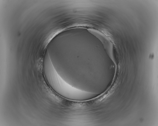 X0000089921369200707201808