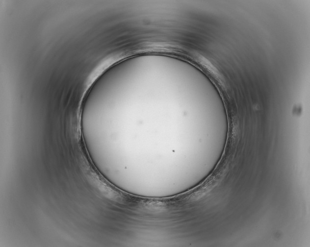 X0000089921370200707201808