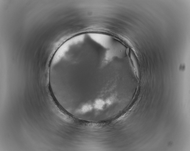 X0000089921371200707201808
