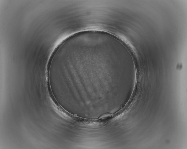 X0000089921372200707201808