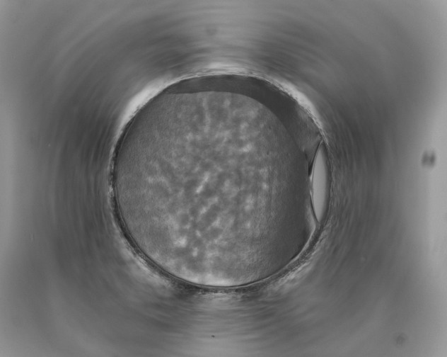 X0000089921373200707201808