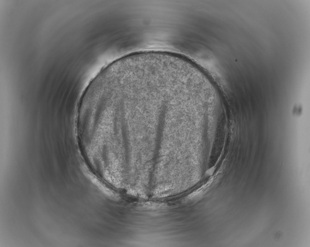 X0000089921374200707201808