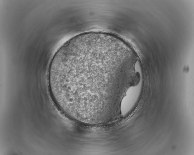 X0000089921375200707201808