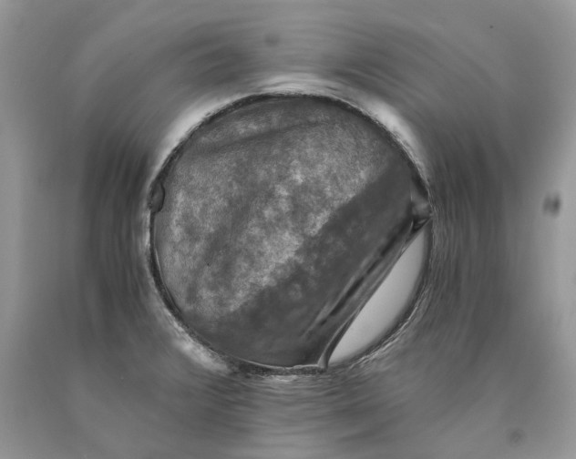 X0000089921376200707201808